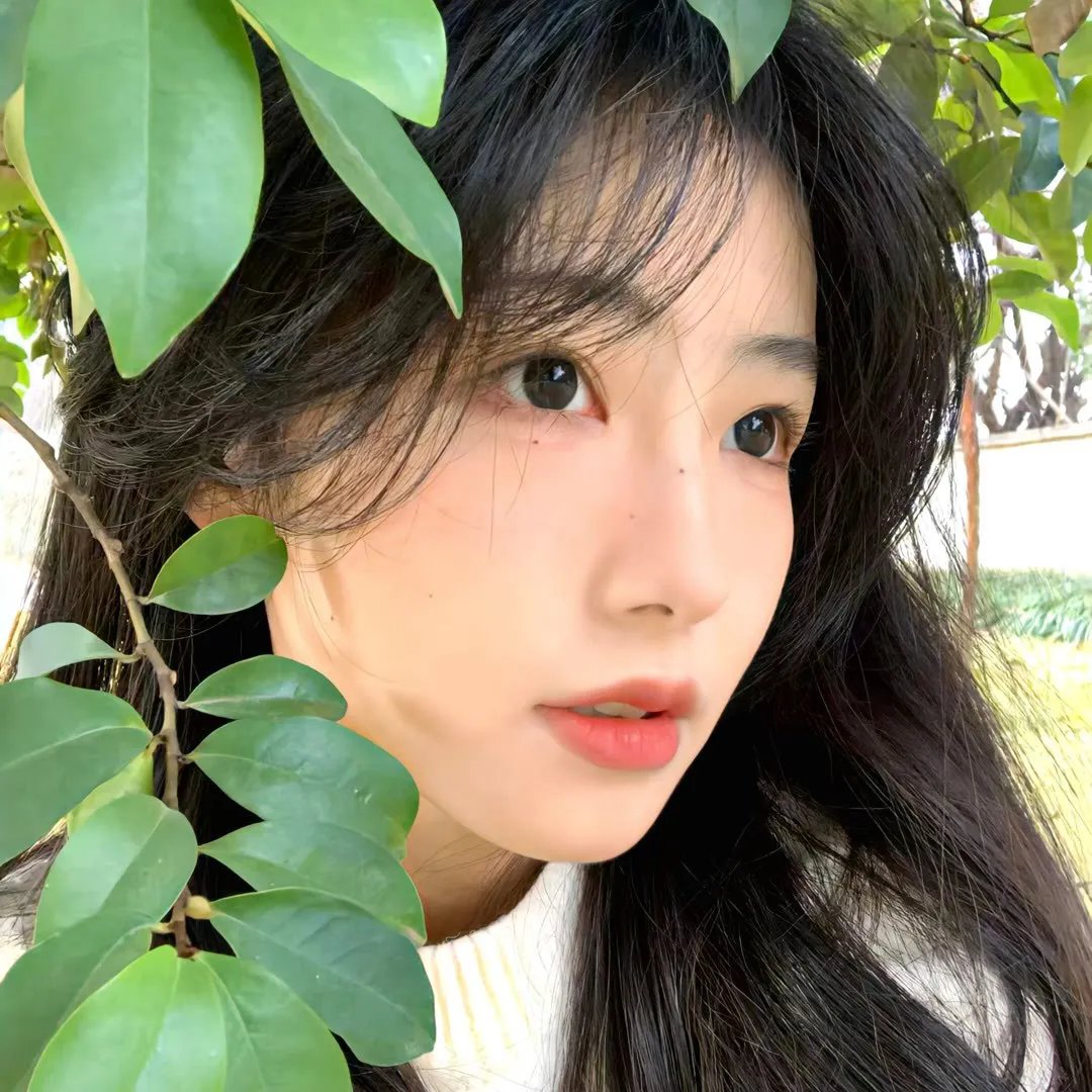 艾瑞斯